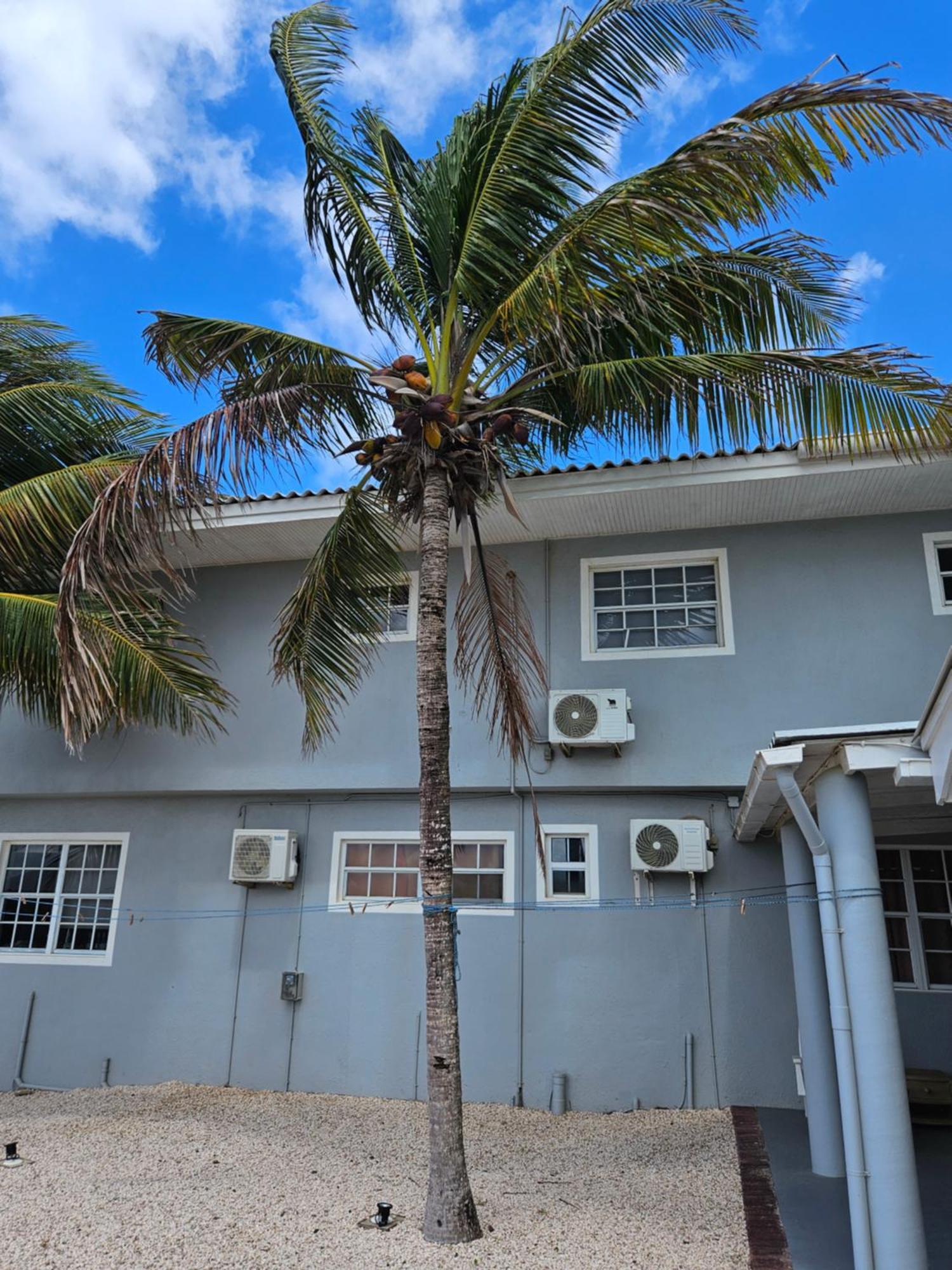 Villa Raven'S Paradise Willemstad Bagian luar foto