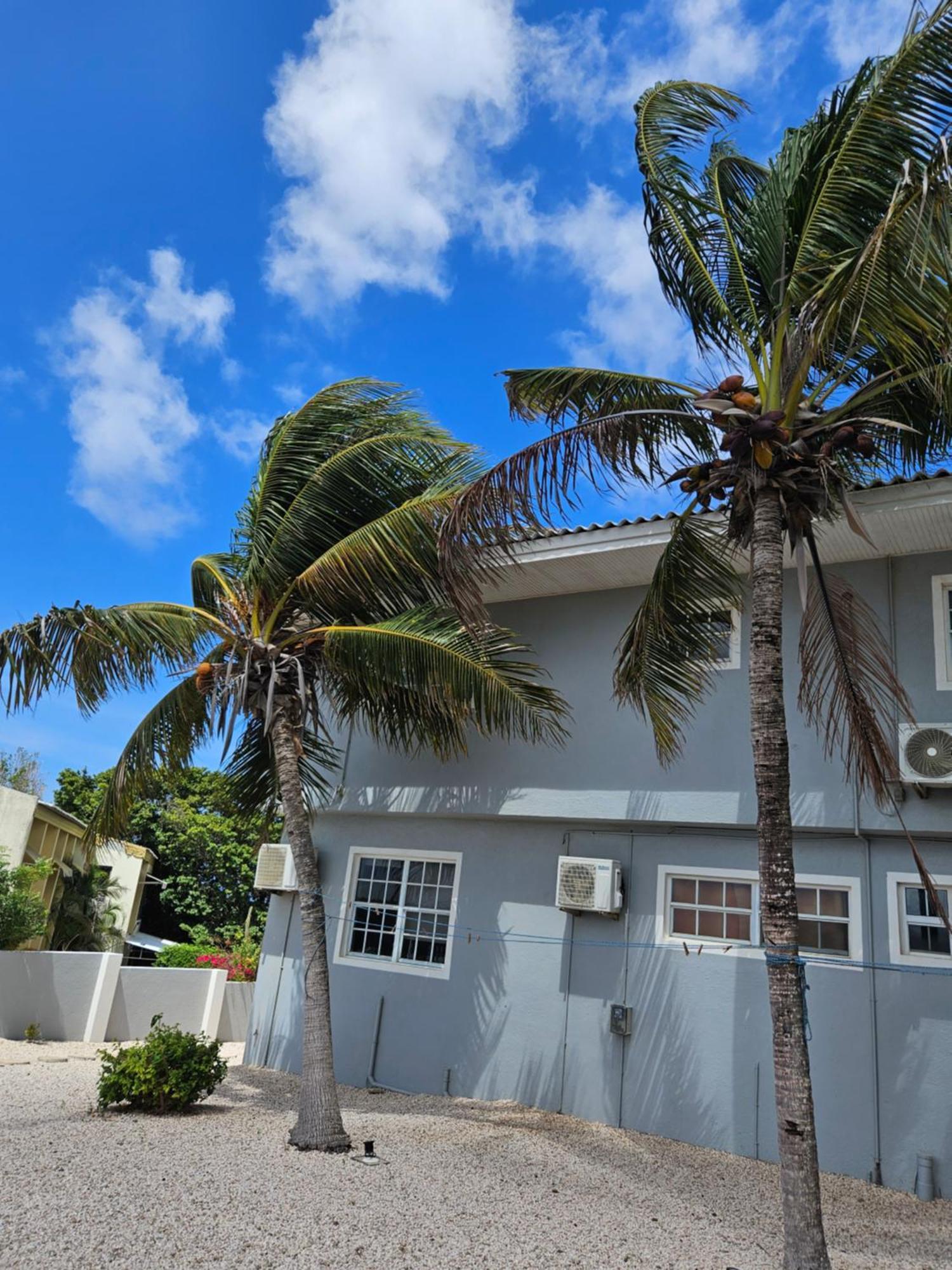 Villa Raven'S Paradise Willemstad Bagian luar foto
