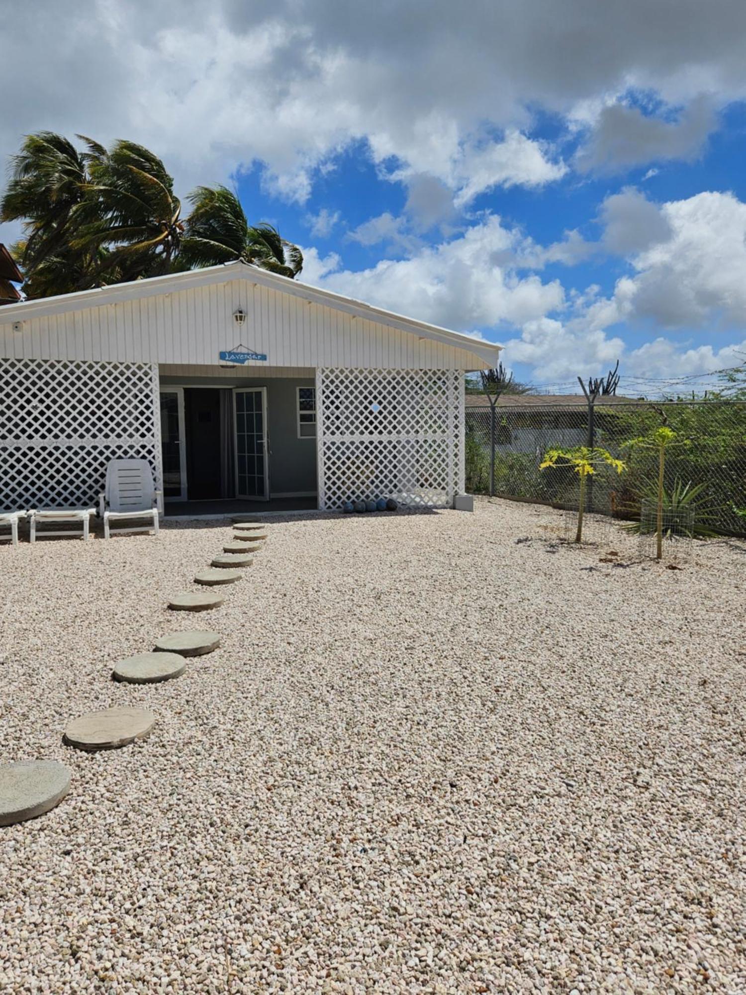 Villa Raven'S Paradise Willemstad Bagian luar foto