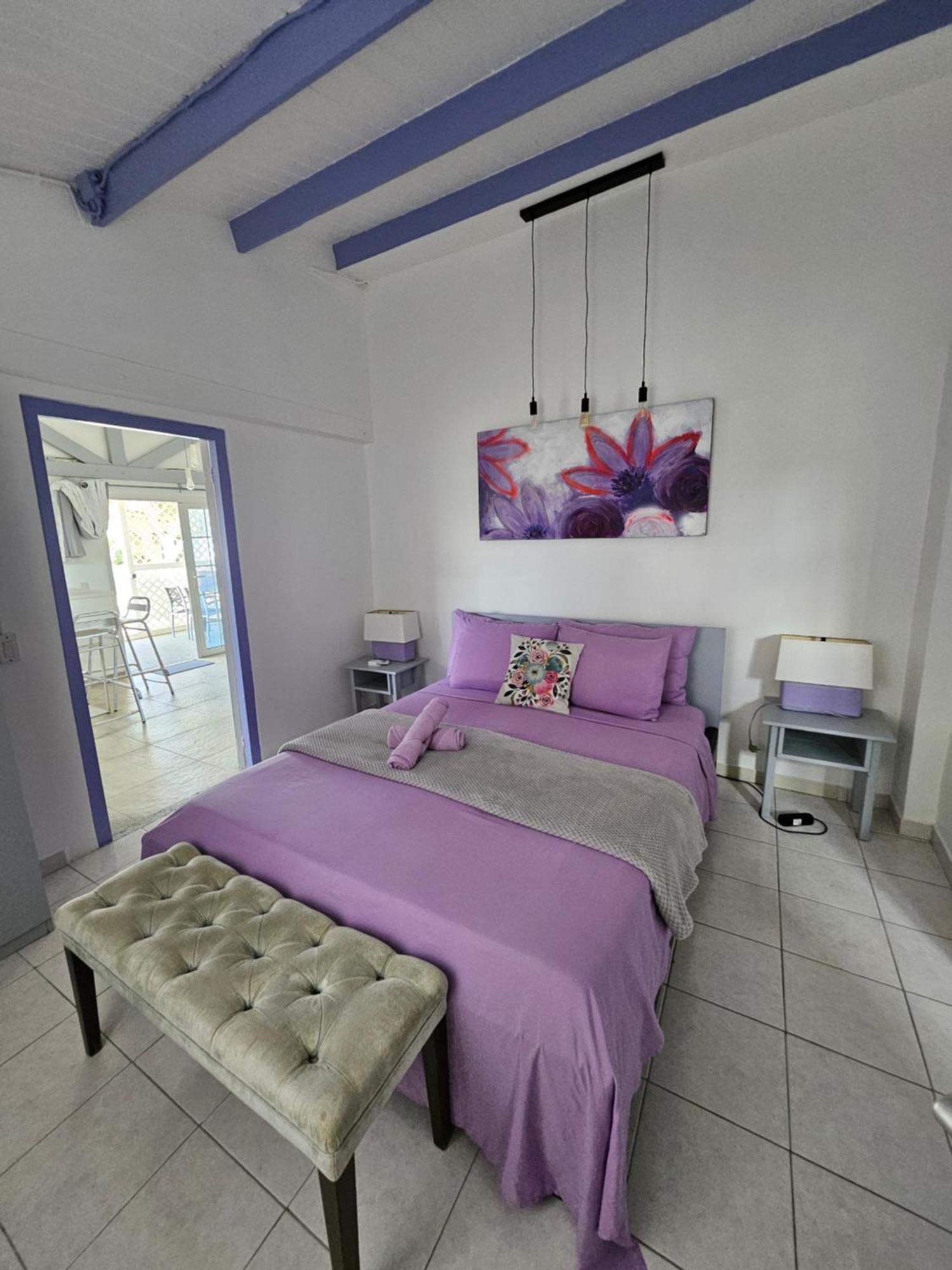 Villa Raven'S Paradise Willemstad Bagian luar foto